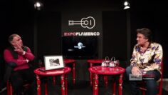 Privado: [ID: fNW0pYA48KQ] Youtube Automatic