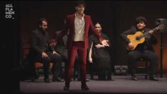 Privado: [ID: fOAJT3gFTPk] Youtube Automatic