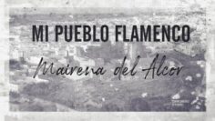 Privado: [ID: GooS4O4ksJA] Youtube Automatic