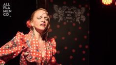 Privado: [ID: i0QuuhTXlcs] Youtube Automatic