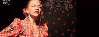 Privado: [ID: i0QuuhTXlcs] Youtube Automatic