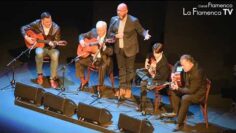 Privado: [ID: qturGR_Mx9E] Youtube Automatic