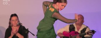 Privado: [ID: rDDeuHxCtuk] Youtube Automatic