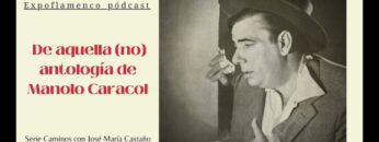 Privado: [ID: V2XAoyNn0L0] Youtube Automatic