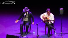 Privado: [ID: vYFAlaudzD0] Youtube Automatic