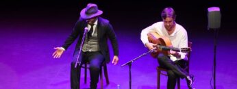 Privado: [ID: vYFAlaudzD0] Youtube Automatic