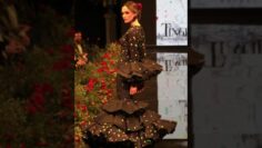 Privado: [ID: zZDVJmso4_k] Youtube Automatic