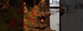 Privado: [ID: zZDVJmso4_k] Youtube Automatic