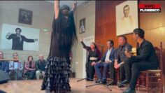 Privado: [ID: 0PLrlVmF198] Youtube Automatic