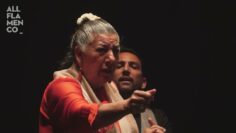 Privado: [ID: 3Ky3NDc_ek4] Youtube Automatic