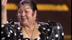 Privado: [ID: FnHLQ6wJSKc] Youtube Automatic