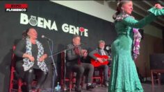 Privado: [ID: _GRMr4wjr1g] Youtube Automatic