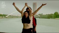 Privado: [ID: JdHUQ_S8Oqc] Youtube Automatic