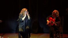 Privado: [ID: LJ0PfpE1-9Q] Youtube Automatic