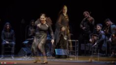 Privado: [ID: MFe2v0s0uSE] Youtube Automatic