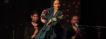 Privado: [ID: OIn1N6Lnh10] Youtube Automatic