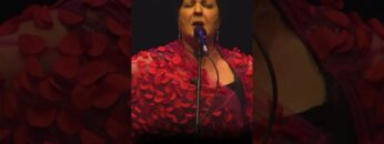 Privado: [ID: QD_0x11mBgA] Youtube Automatic