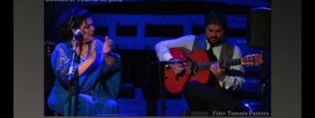 Privado: [ID: XtOkRSyzNng] Youtube Automatic