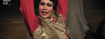 Privado: [ID: 337_oDNp3aI] Youtube Automatic