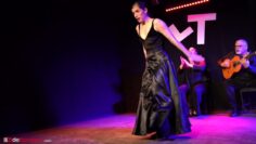 Privado: [ID: 3aV0aP2_-ms] Youtube Automatic