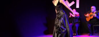 Privado: [ID: 3aV0aP2_-ms] Youtube Automatic