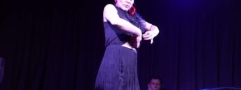 Privado: [ID: 8BbIayzVsKI] Youtube Automatic