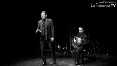 Privado: [ID: RMwQ-puUMss] Youtube Automatic