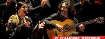 Privado: [ID: 5Eafy58qSEA] Youtube Automatic