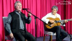 Privado: [ID: 7bA7gngizO4] Youtube Automatic