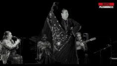 Privado: [ID: 8qw5ZdoUFAA] Youtube Automatic