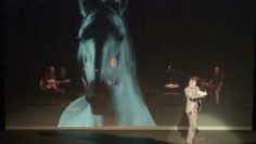 Privado: [ID: aKsCCXY7TMg] Youtube Automatic