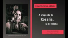 Privado: [ID: E5GL0cB55kY] Youtube Automatic