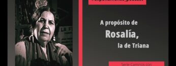 Privado: [ID: E5GL0cB55kY] Youtube Automatic