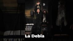 Privado: [ID: gY4NoCKszOI] Youtube Automatic