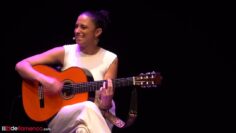 Privado: [ID: H-BsXd7Wgn8] Youtube Automatic