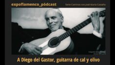 Privado: [ID: J3H8b2Rpw78] Youtube Automatic