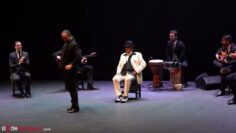 Privado: [ID: -Khcksni-nw] Youtube Automatic