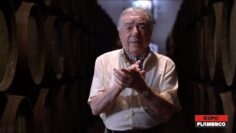 Privado: [ID: LZ2i72bHx_E] Youtube Automatic