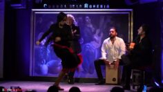 Privado: [ID: NtR_ZJnepwI] Youtube Automatic