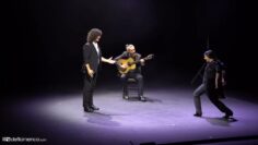 Privado: [ID: SSVXkSKI6-s] Youtube Automatic