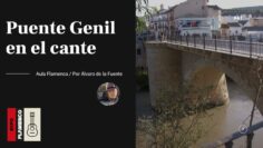 Privado: [ID: VIJICk0SqKY] Youtube Automatic