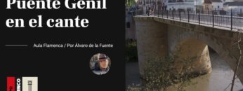 Privado: [ID: VIJICk0SqKY] Youtube Automatic