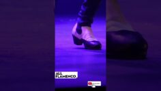 Privado: [ID: YJi38UdDSUM] Youtube Automatic