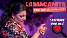 Privado: [ID: 0HyRQ7uiC6g] Youtube Automatic