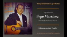 Privado: [ID: 3fzlnTJX4i8] Youtube Automatic