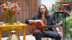 Privado: [ID: 4Ss42LumWQQ] Youtube Automatic