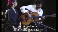 Privado: [ID: ckQy54CgVbc] Youtube Automatic