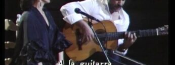 Privado: [ID: ckQy54CgVbc] Youtube Automatic