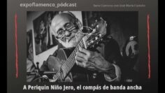 Privado: [ID: cRE0YN9E0Gc] Youtube Automatic