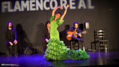 Privado: [ID: n7463PcICrM] Youtube Automatic